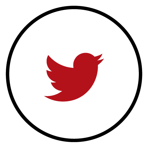 Twitter Icon